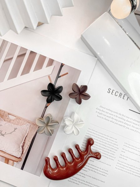 مشابك شعر 4 قطع