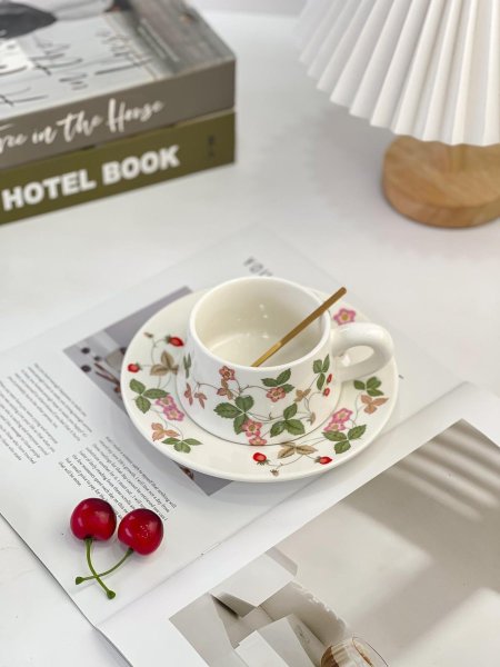 مج مع كوستر